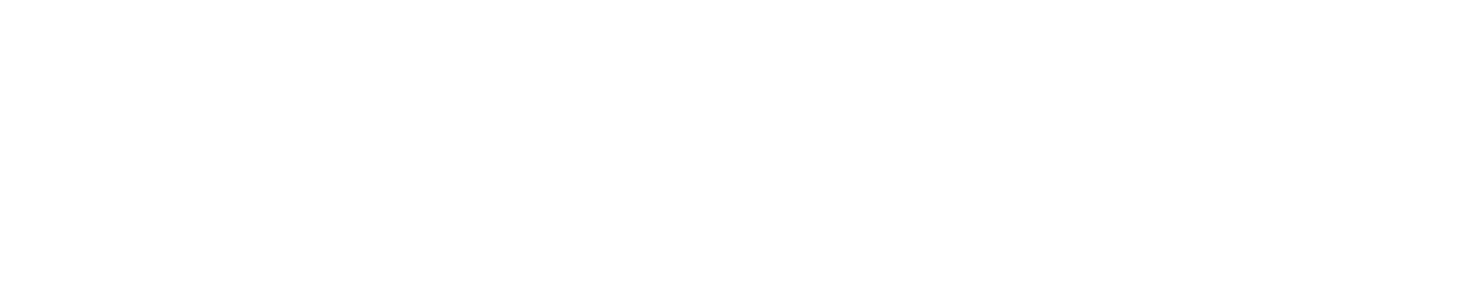 Provisioned — Full Service IT Agency